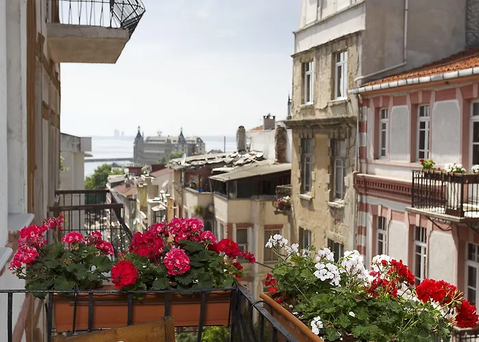 Hush Lounge Hostel *